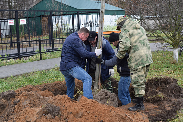 В Ивановском зоопарке заложена аллея серебристых тополей